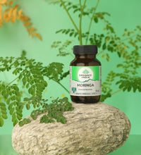 Moringa to embrace the goodness of superfood