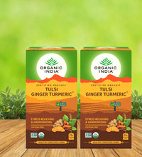 Tulsi Ginger Turmeric 25 IB (Pack of 2)