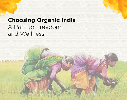 Choosing Organic India: A Path to Freedom and Wellness